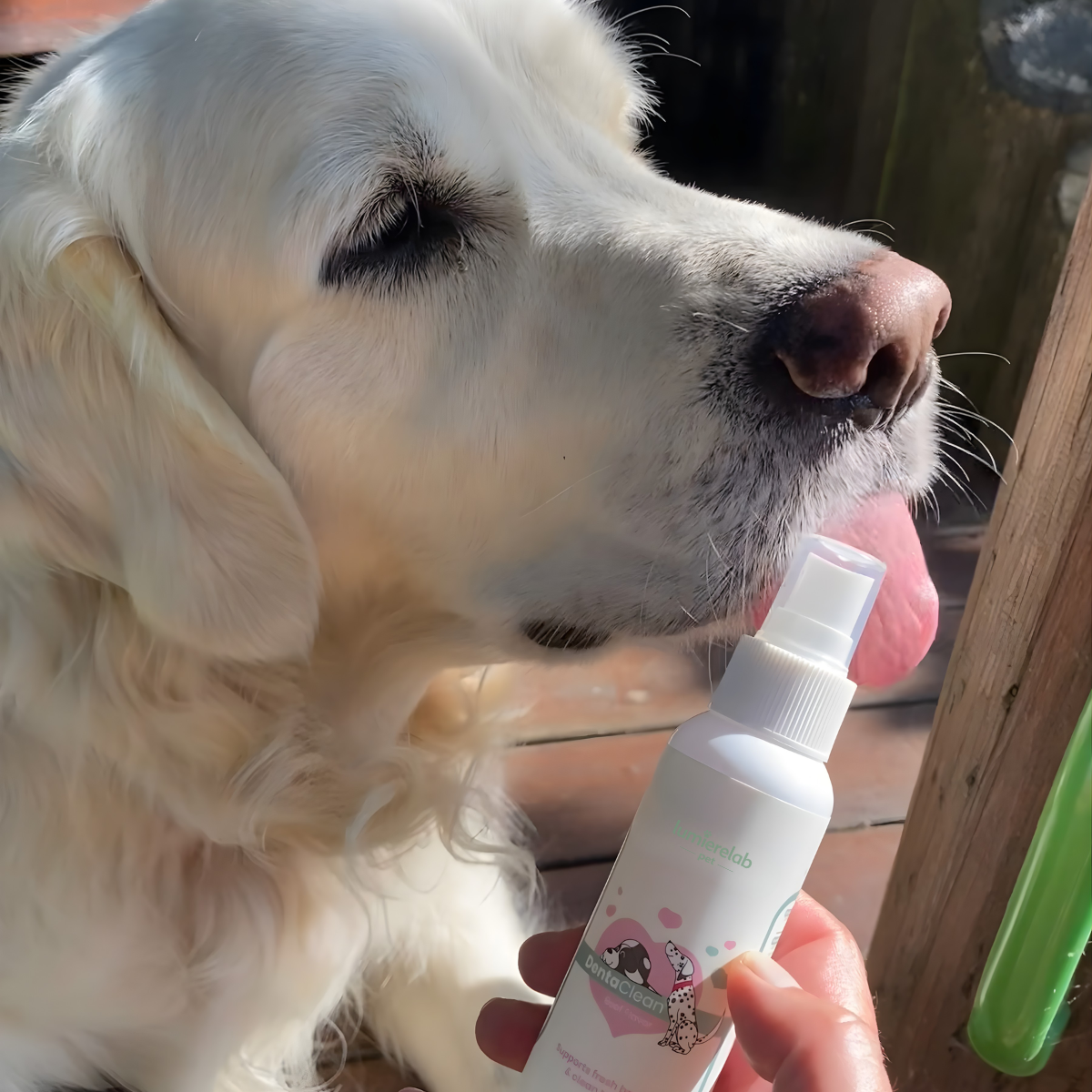 Dentapet® – Spray Natural para la Salud Dental de tu Perro