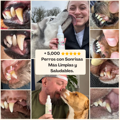 Dentapet® – Spray Natural para la Salud Dental de tu Perro