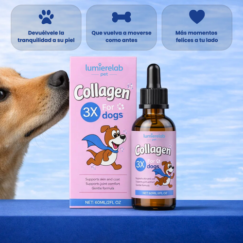 VitaPaws Collagen™ - Movilidad y bienestar desde adentro.