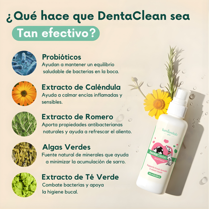 Dentapet® – Spray Natural para la Salud Dental de tu Perro