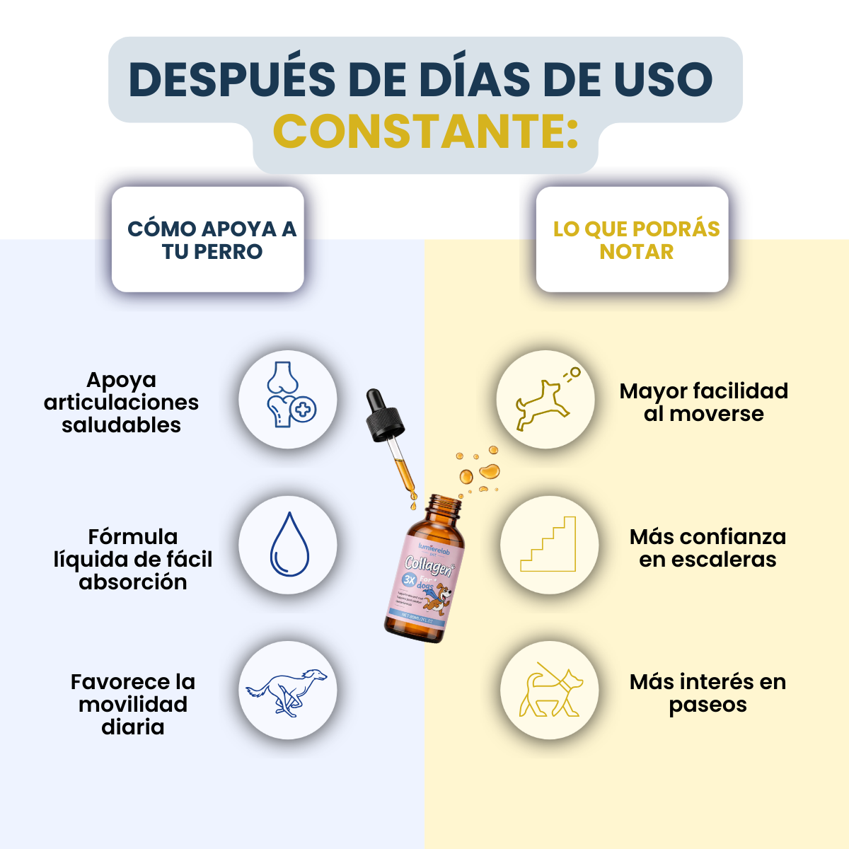VitaPaws Collagen™ - Movilidad y bienestar desde adentro.