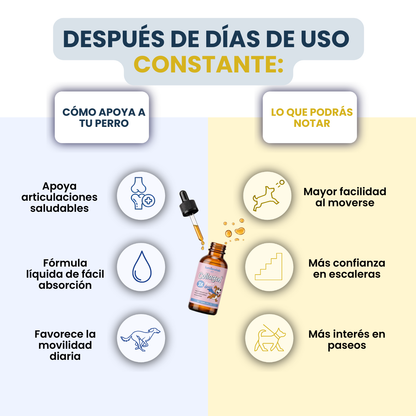 VitaPaws Collagen™ - Movilidad y bienestar desde adentro.