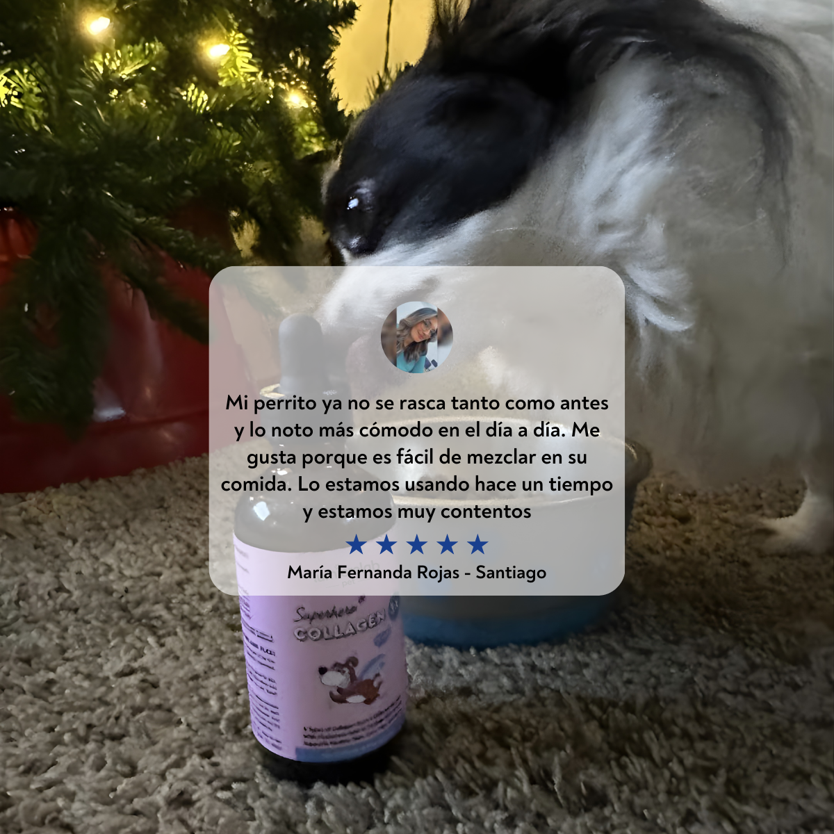 VitaPaws Collagen™ - Movilidad y bienestar desde adentro.