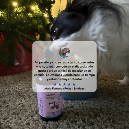 VitaPaws Collagen™ - Movilidad y bienestar desde adentro.