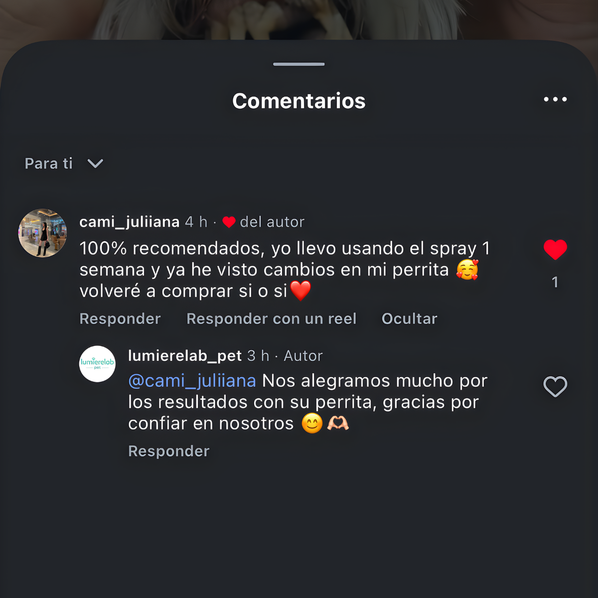 Dentapet® – Spray Natural para la Salud Dental de tu Perro