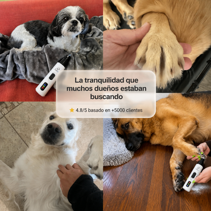 Patitas Calmadas™ - Cuidado sin miedo ni estrés.