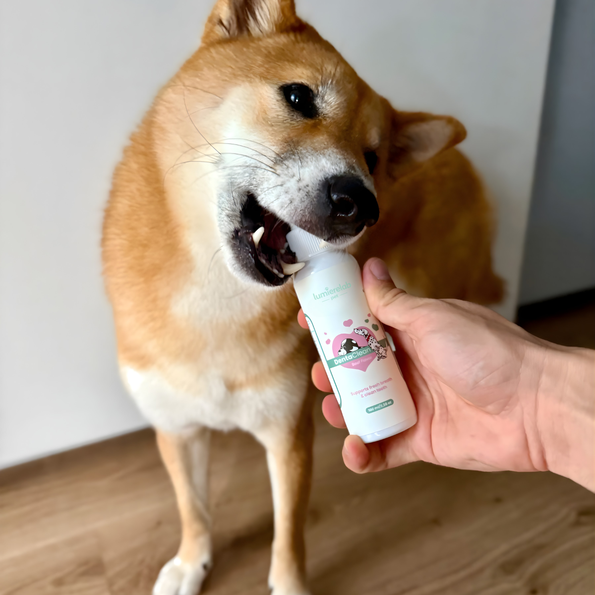 Dentapet® – Spray Natural para la Salud Dental de tu Perro