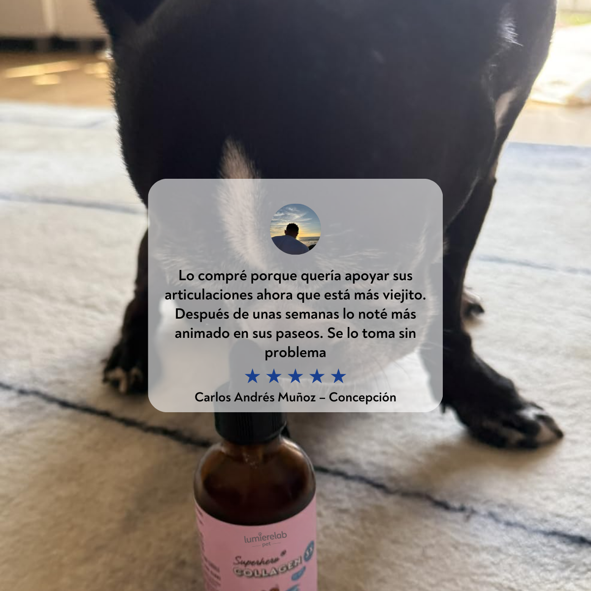 VitaPaws Collagen™ - Movilidad y bienestar desde adentro.