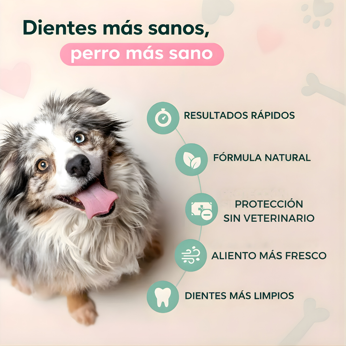 Dentapet® – Spray Natural para la Salud Dental de tu Perro