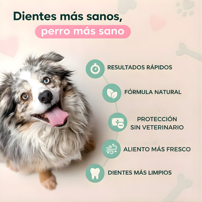 Dentapet® – Spray Natural para la Salud Dental de tu Perro